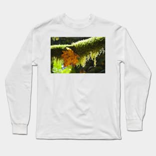 Autumn in the PNW Long Sleeve T-Shirt